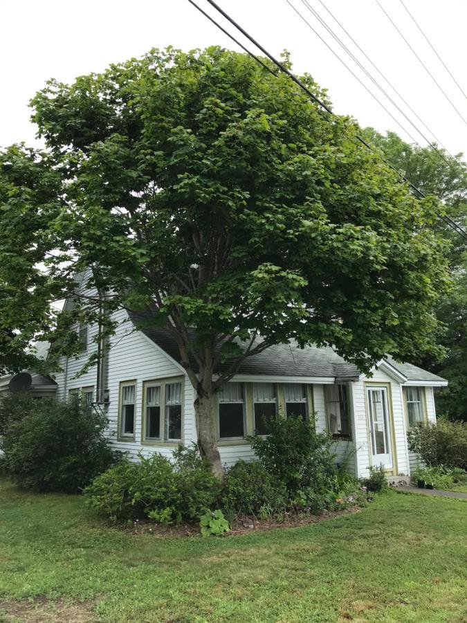 Studio 181 Bed & Breakfast Bed & Breakfast Port Clyde Exterior photo